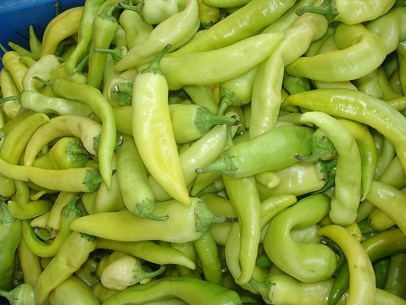 Banana Pepper (Capsicum annuum)