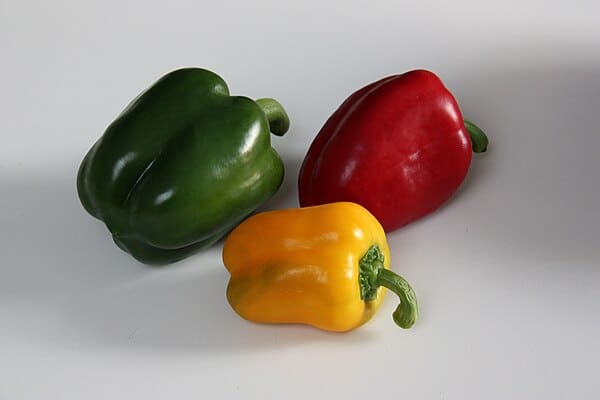 Bell Pepper (Capsicum annuum)