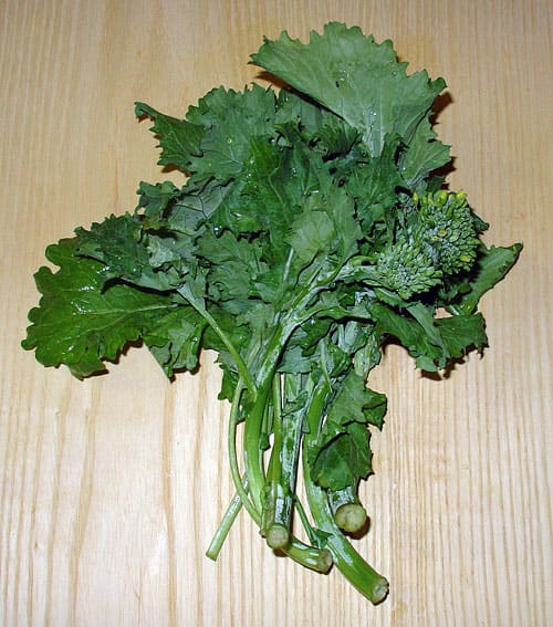 Broccoli Raab (Brassica rapa subsp. rapa)