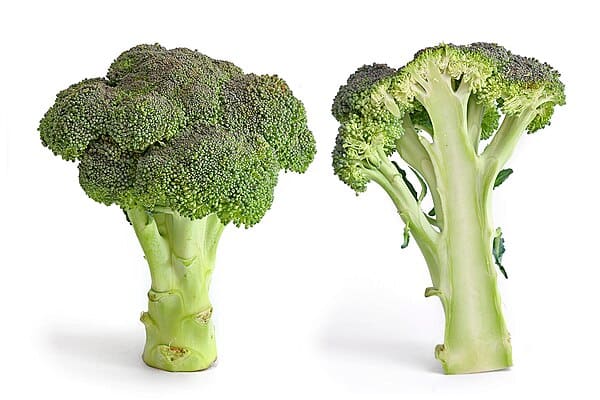 Broccoli (Brassica oleracea var. italica)
