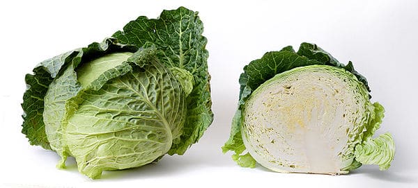 Cabbage (Brassica oleracea var. capitata)