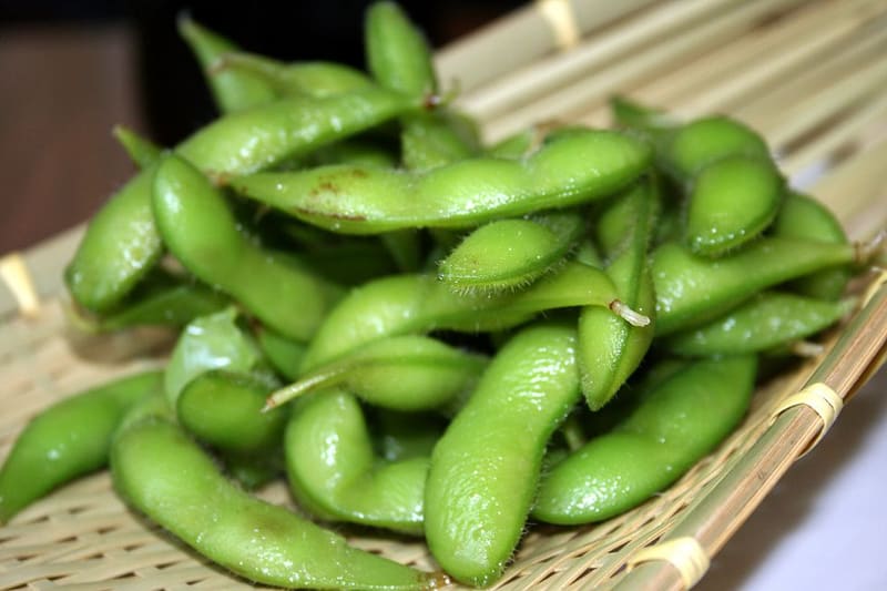 Edamame (Glycine max)