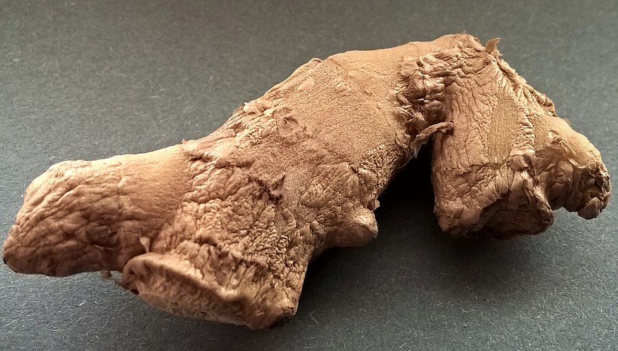 Ginger (Zingiber officinale)