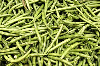 Green Bean plant