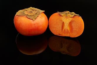 Persimmon Tree (Diospyros kaki)