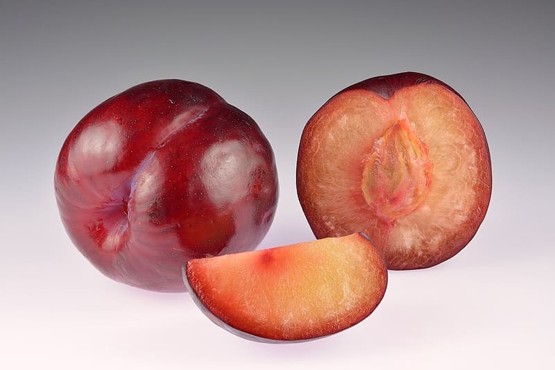 Plum Tree (Prunus domestica)