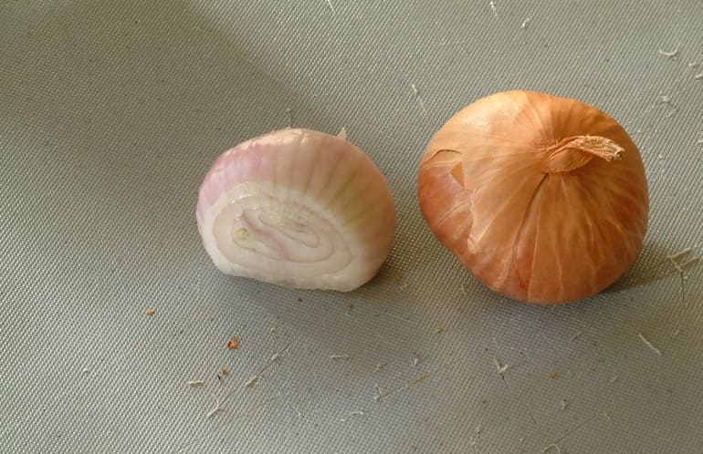 Shallot (Allium cepa var. aggregatum)
