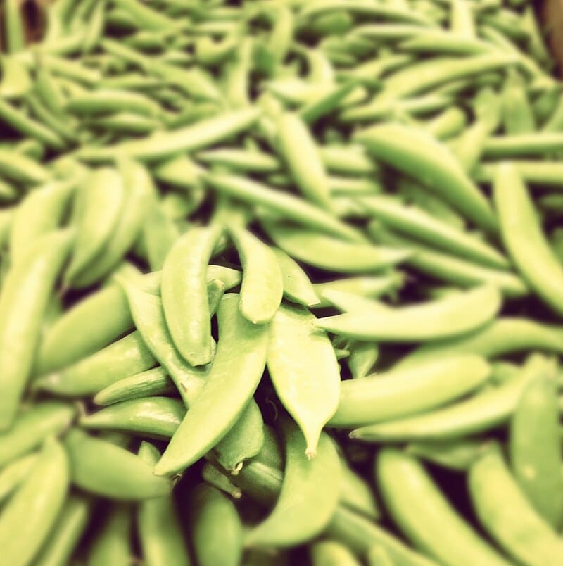 Snap Pea (Pisum sativum var. macrocarpon)