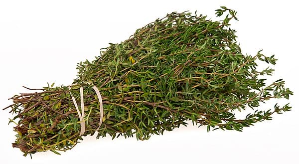 Thyme (Thymus vulgaris)
